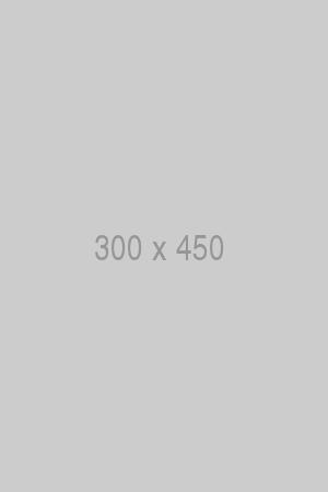 litho-300×450-ph 300x450
